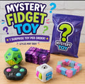 Mystery Fidget Sensory Toy