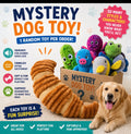 Mystery Dog Toy