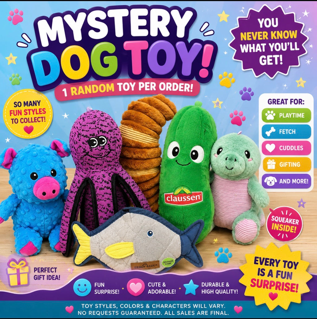 Mystery Dog Toy
